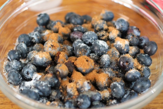 Easy Individual Blueberry Crisps - Spoon Me Slender